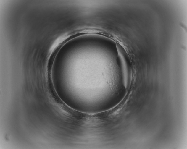 X0000095880296200801111139