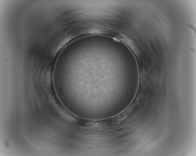 X0000095880297200801111139