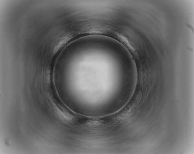 X0000095880299200801111139