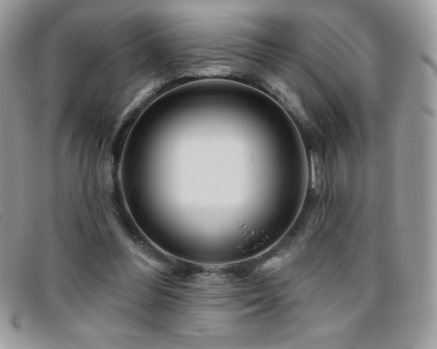 X0000095880300200801111139