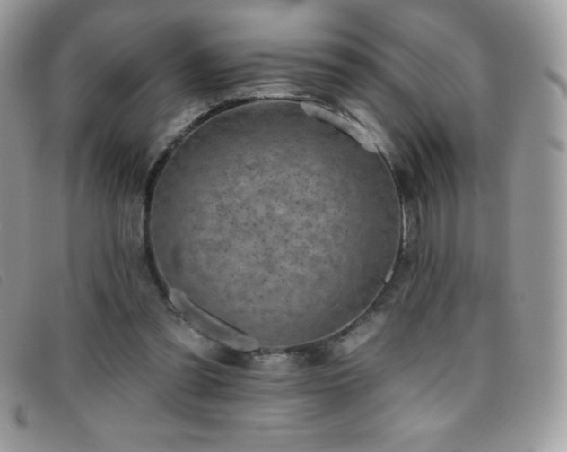 X0000095880301200801111139