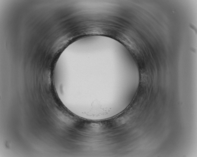X0000095880302200801111139
