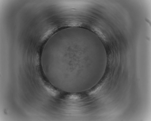 X0000095880303200801111139