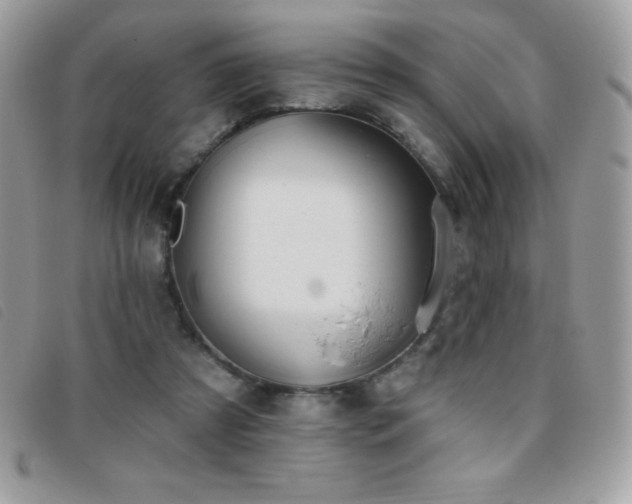 X0000095880305200801111139