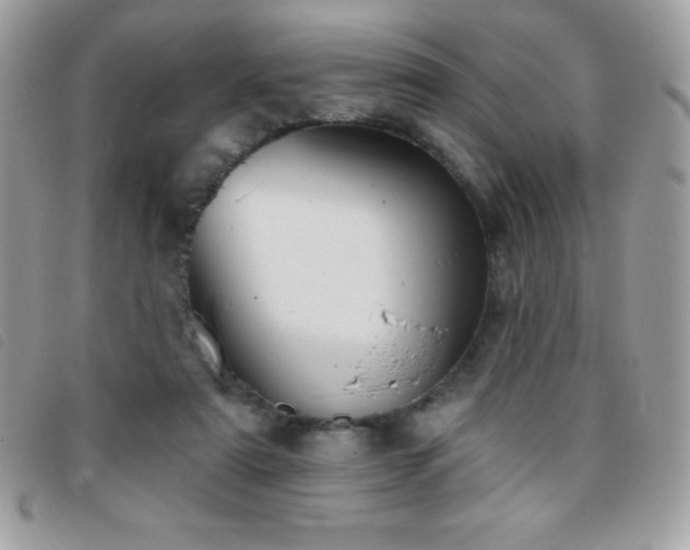 X0000095880307200801111139