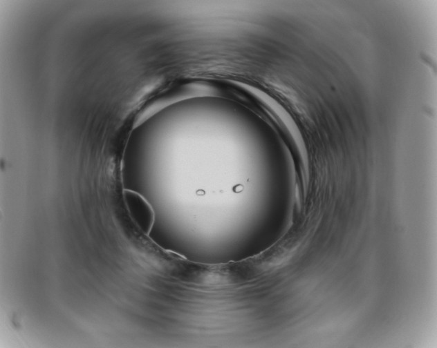 X0000095880308200801111139