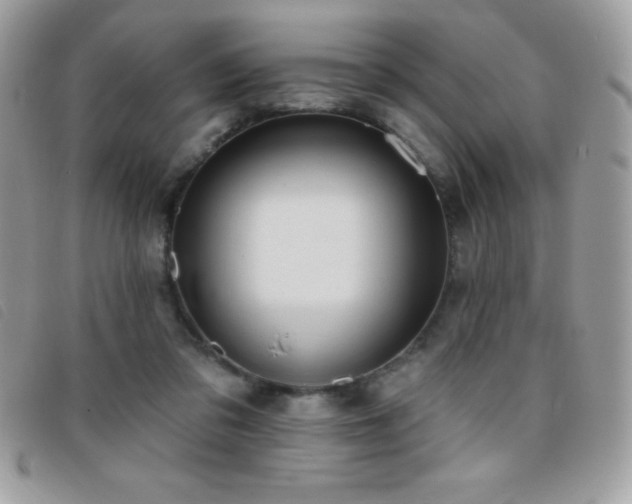 X0000095880309200801111139
