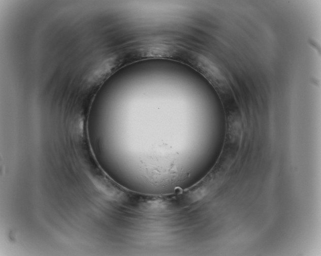 X0000095880310200801111139