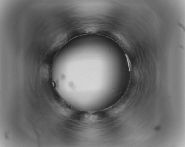 X0000095880311200801111139