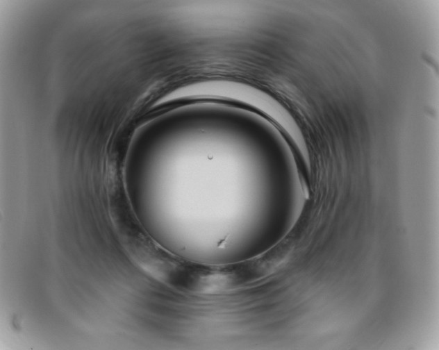 X0000095880312200801111139