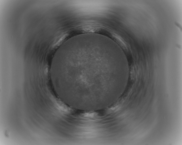 X0000095880314200801111139