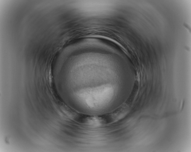 X0000095880316200801111139