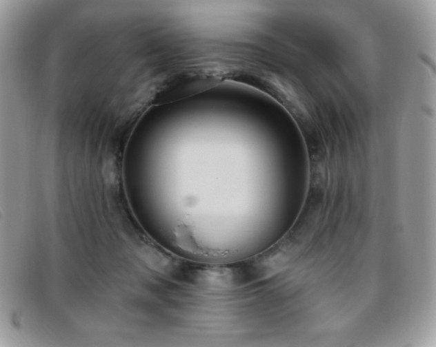 X0000095880317200801111139