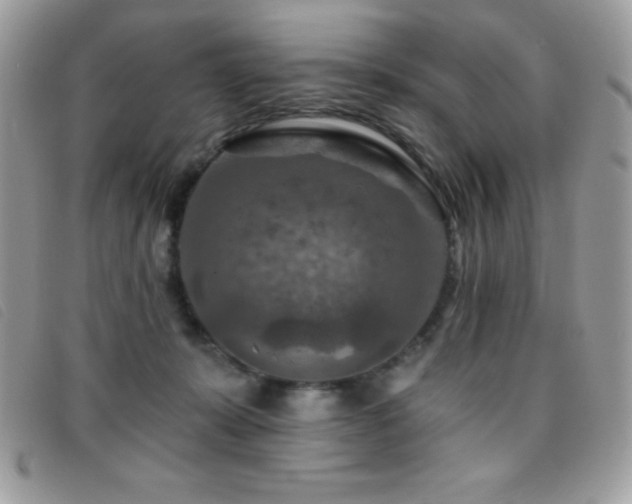 X0000095880319200801111139