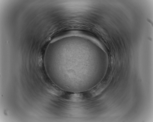 X0000095880320200801111139
