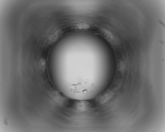 X0000095880321200801111139