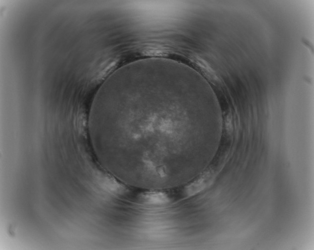 X0000095880322200801111139