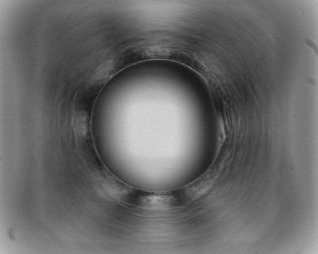 X0000095880323200801111139