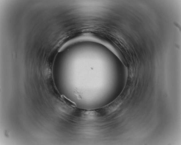 X0000095880324200801111139