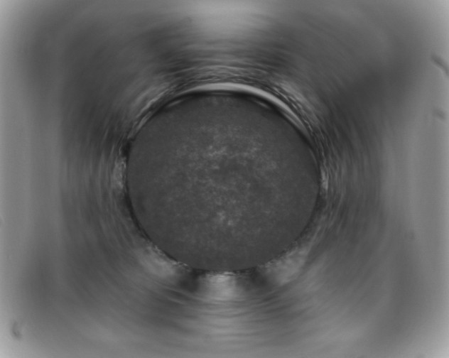 X0000095880325200801111139