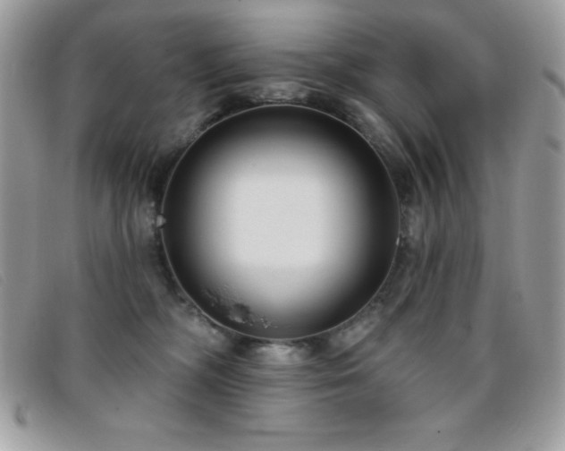 X0000095880326200801111139