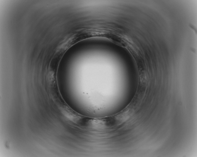 X0000095880327200801111139