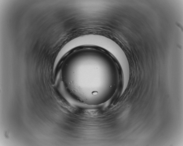 X0000095880328200801111139