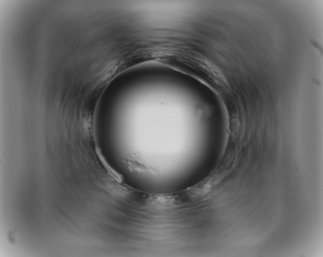 X0000095880329200801111139
