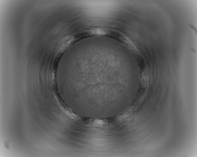 X0000095880330200801111139