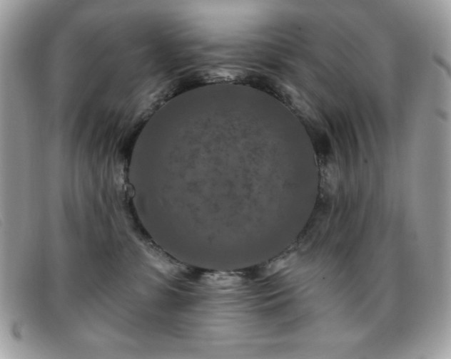 X0000095880331200801111139