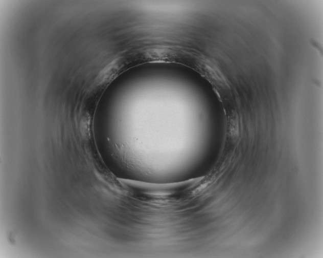 X0000095880332200801111139