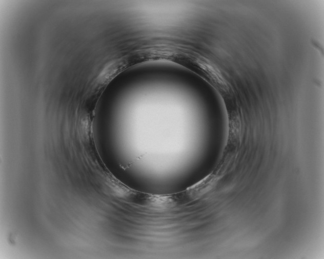 X0000095880333200801111139
