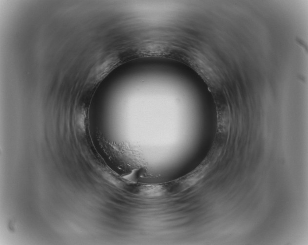 X0000095880334200801111139