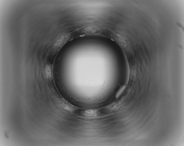 X0000095880335200801111138