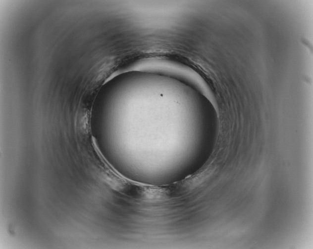 X0000095880336200801111138