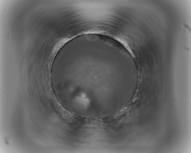 X0000095880337200801111138