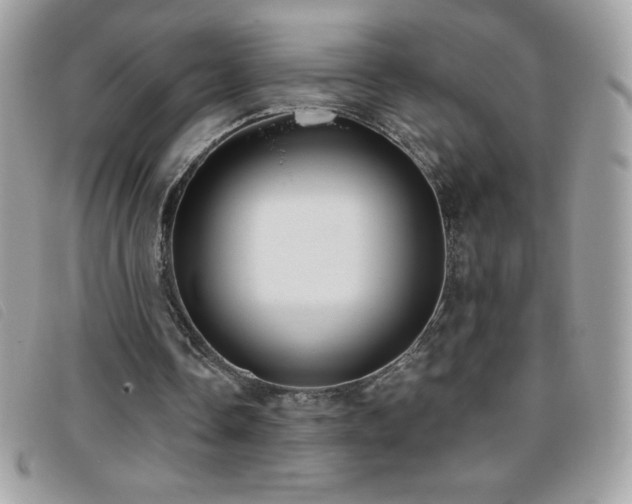 X0000095880338200801111138