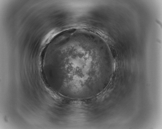 X0000095880339200801111138