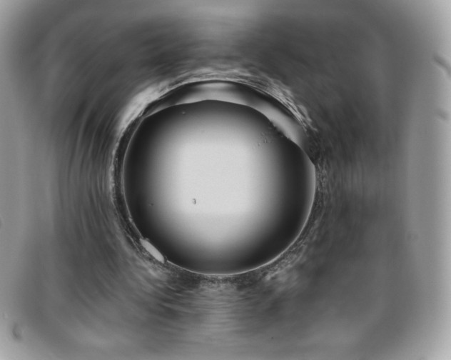 X0000095880340200801111138