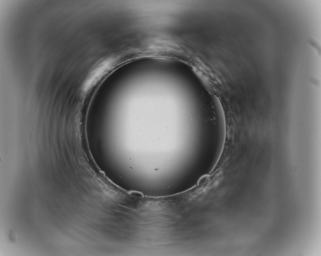 X0000095880341200801111138