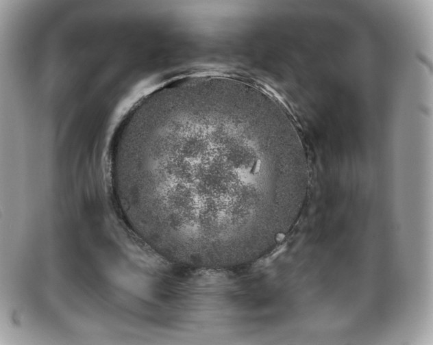X0000095880343200801111138