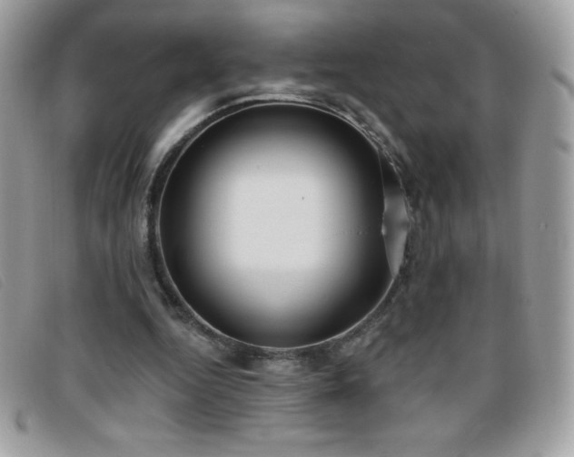 X0000095880344200801111138