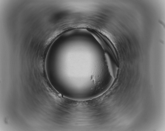 X0000095880345200801111138