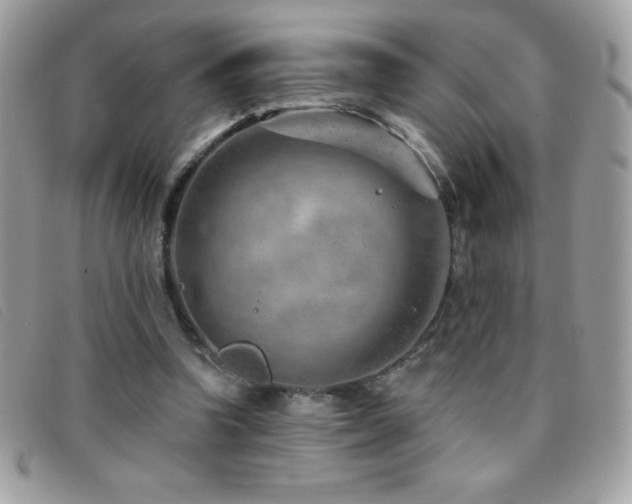 X0000095880346200801111138