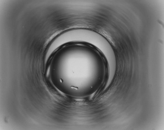 X0000095880348200801111138