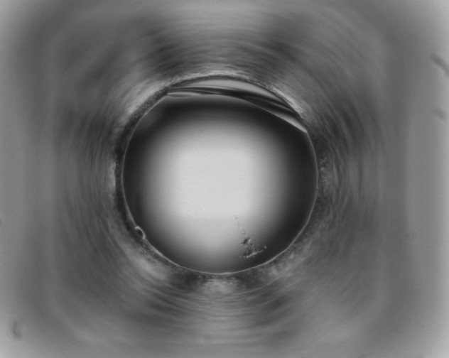 X0000095880350200801111138