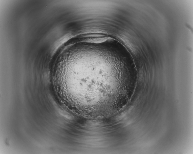 X0000095880351200801111138