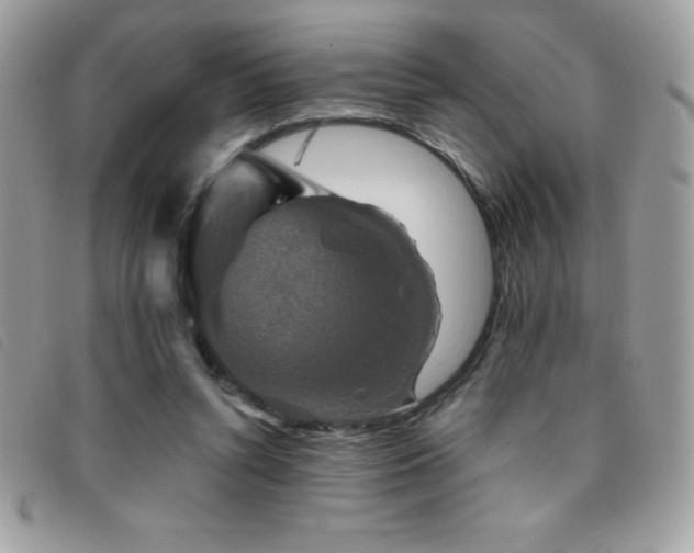 X0000095880352200801111138