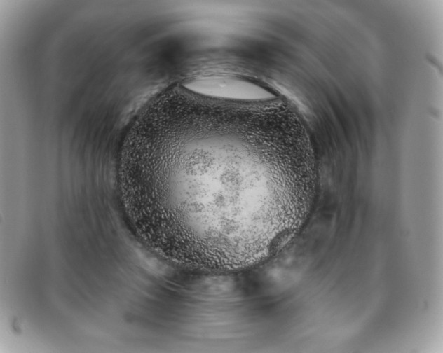 X0000095880353200801111138
