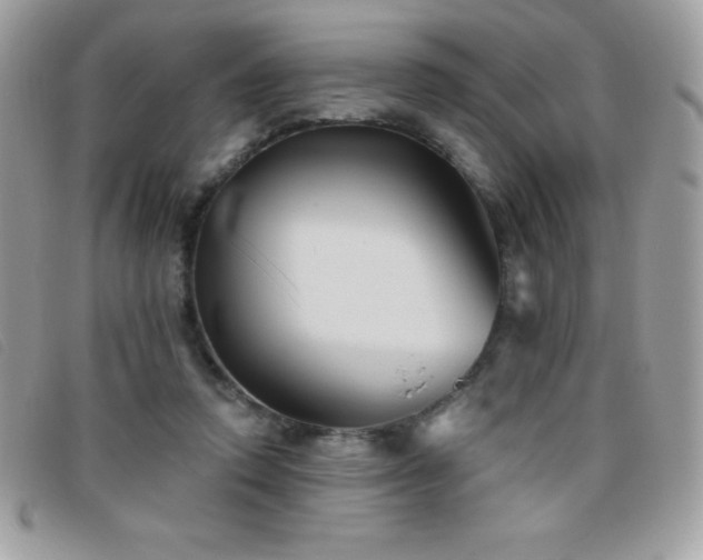 X0000095880354200801111138